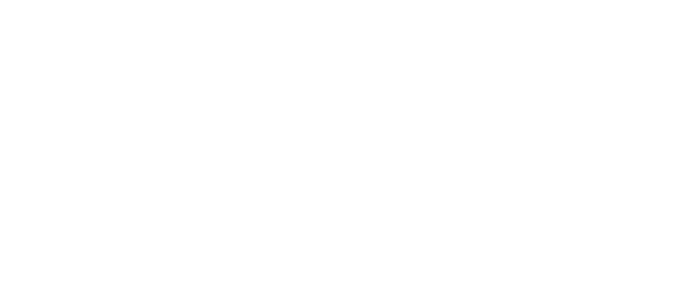 Apicex - Assessoria e Consultoria Administrativa e Financeira
